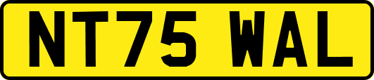 NT75WAL