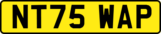 NT75WAP