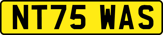 NT75WAS