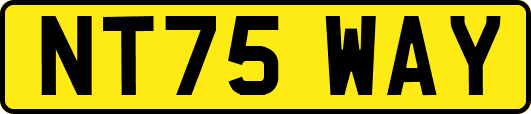 NT75WAY