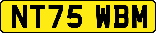 NT75WBM