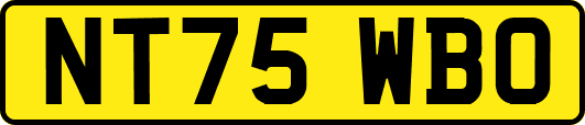 NT75WBO