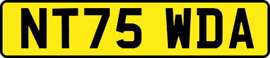 NT75WDA