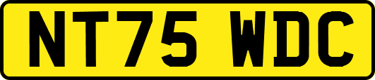 NT75WDC