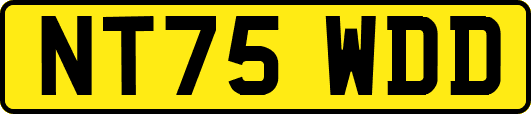 NT75WDD