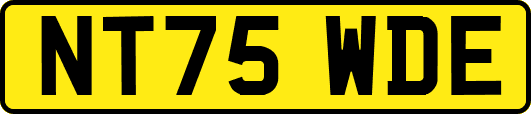 NT75WDE