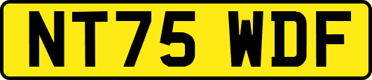 NT75WDF