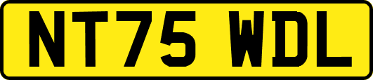 NT75WDL
