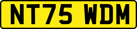 NT75WDM