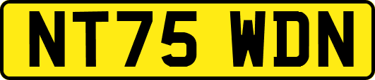 NT75WDN