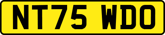 NT75WDO