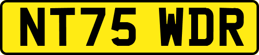 NT75WDR