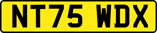 NT75WDX