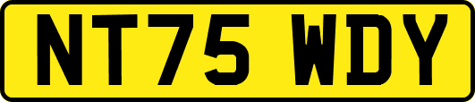 NT75WDY