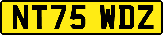 NT75WDZ