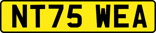 NT75WEA