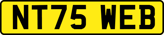 NT75WEB