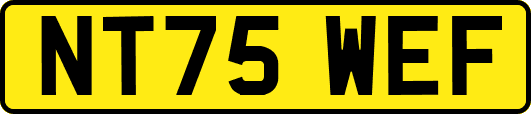NT75WEF