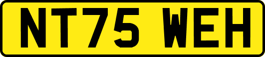 NT75WEH