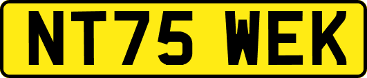 NT75WEK