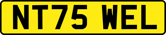 NT75WEL