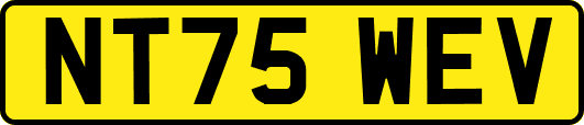 NT75WEV