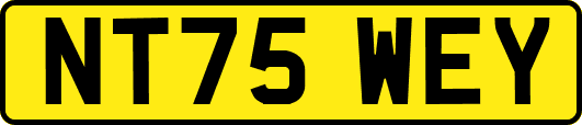 NT75WEY
