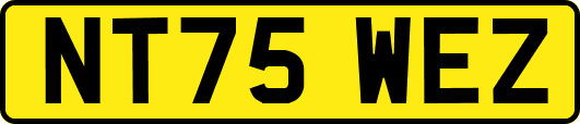 NT75WEZ