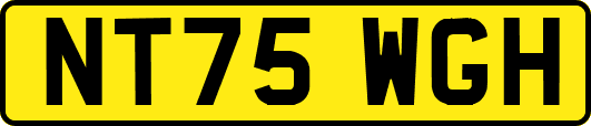 NT75WGH