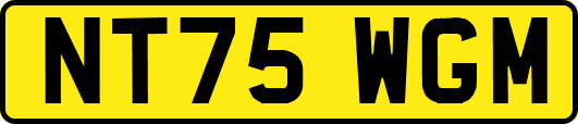 NT75WGM