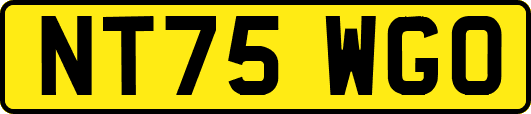 NT75WGO