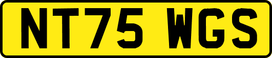 NT75WGS
