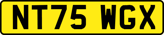 NT75WGX
