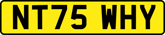 NT75WHY
