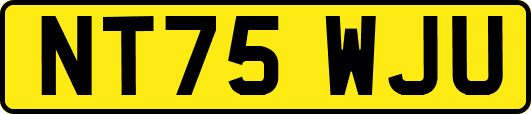 NT75WJU
