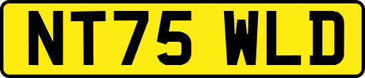 NT75WLD