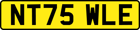 NT75WLE