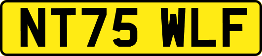NT75WLF