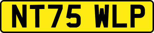 NT75WLP