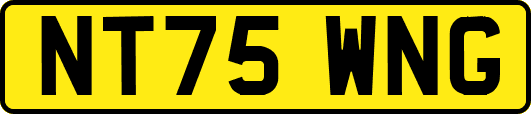 NT75WNG