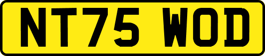 NT75WOD