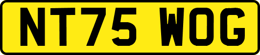 NT75WOG
