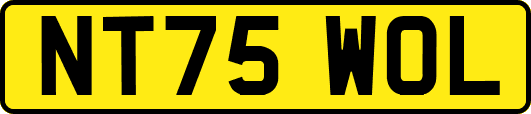 NT75WOL