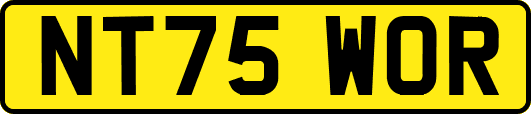 NT75WOR