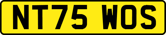 NT75WOS