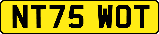 NT75WOT