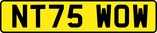 NT75WOW