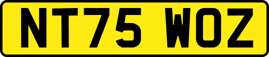 NT75WOZ