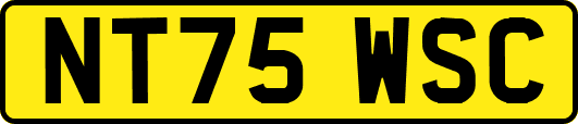 NT75WSC