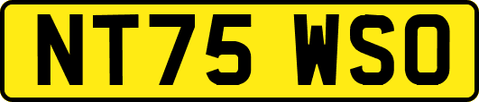 NT75WSO